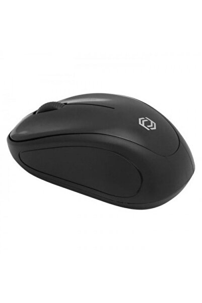 FRISBY FM-260WM Kablosuz siyah mouse