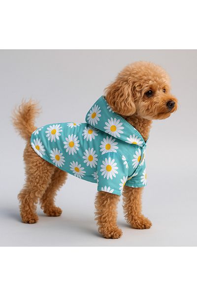 MPZ Pets Cat and Dog Outfit & Dress & Raincoat - Blue Daisy Printed Mesh Raincoat