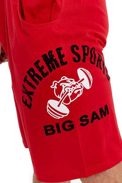 Big Sam Extreme Comfortable Sports Shorts 1338