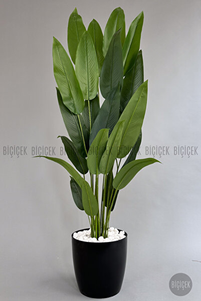 BİÇİÇEK Yapay Ağaç Starliçe 220cm Xxl Boy Siyah Renk Büyük Boy Yakut Saksıda