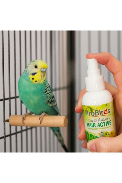 PRO BİRDS Pro Birds Hair Active Bitkisel Bit Pire Sprey 150 ML