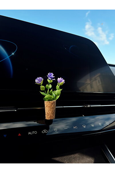 Mi-ÇA HOME معطر سيارة صغير |   وعاء فطر مصنوع يدويًا وزهرة اللافندر لتزيين مك...