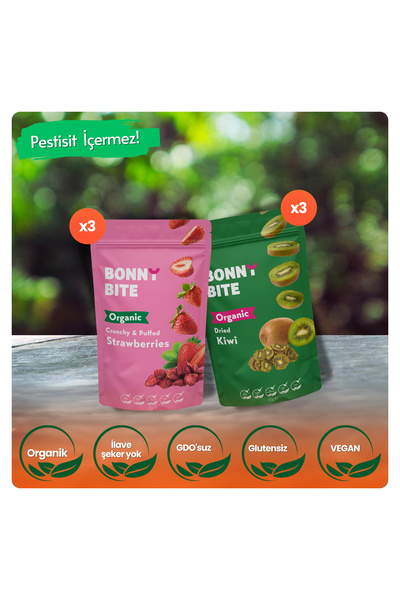 Bonny Bite فراولة مقرمشة عضوية وكيفي مجفف 6 عبوات