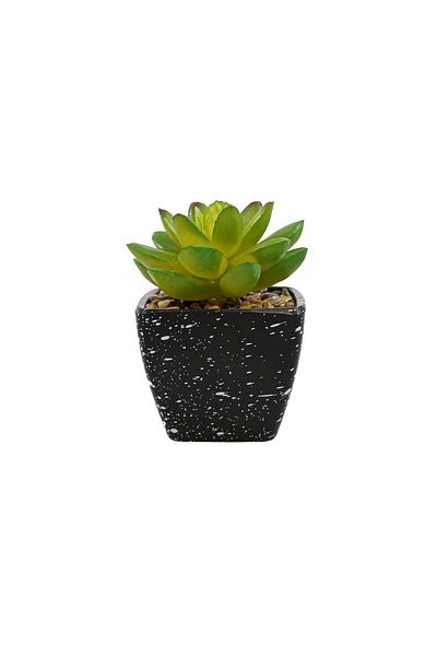Ella Home Italia Artificial Succulent Plant, Green, Plastic, 9cm