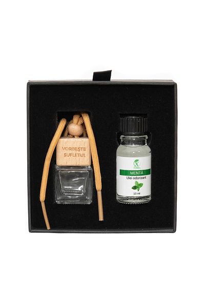 XTERRA CAR FRESHENER | DIFFUSER BOTTLE AND MINT OIL SET | 10 ml