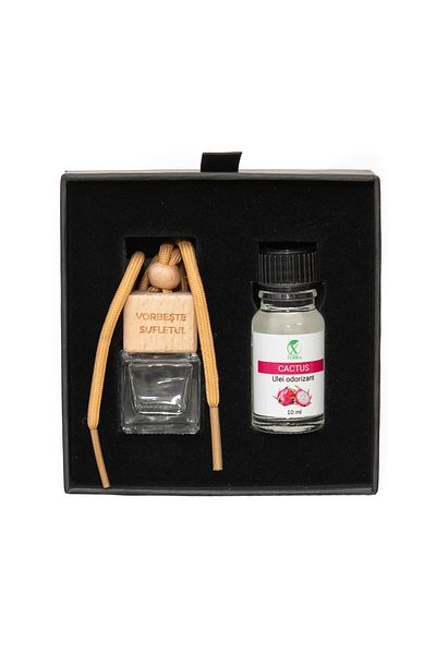 XTERRA CAR FRESHENER | DIFFUSER BOTTLE AND CACTUS FRAGRANCE OIL SET | 10 ml