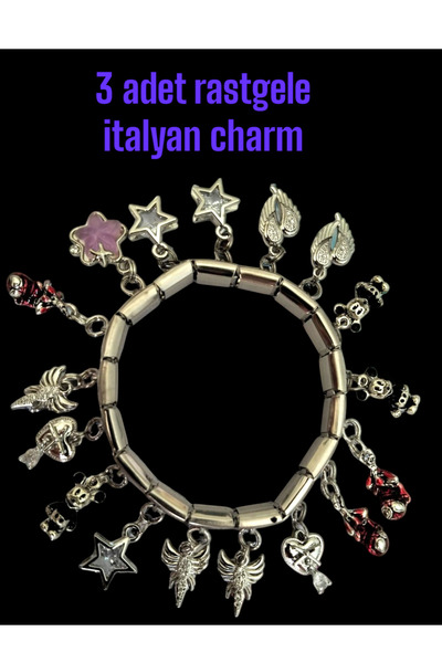 CLOVER JEWELRY İtalyan Charm Çelik Bileklik Aksesuarı