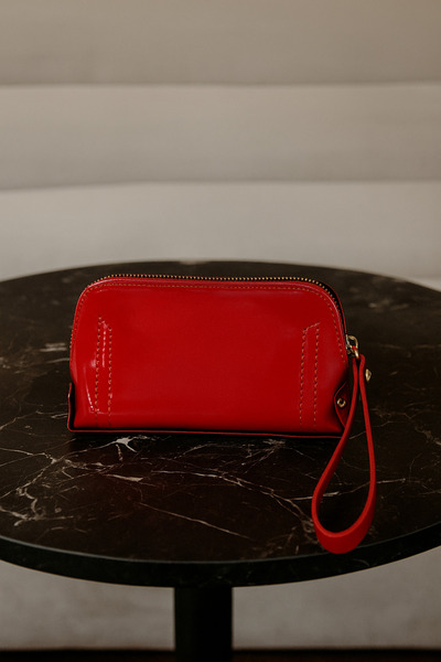 lizy's Wallet Portfolio & Clutch Makeup Bag