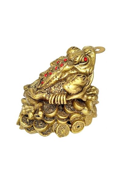 BLA BLA FOAM Large Feng Shui Frog, Money Amulet with Chinese Coins