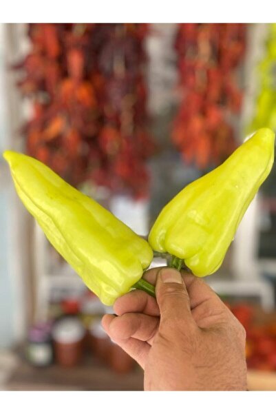 AKYAYLA KAHVALTI EVİ Taze Kale Biberi 3500 gr