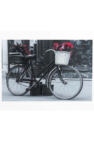 PUFO Tablou decorativ Pufo Bicicletă, 30 x 40 cm