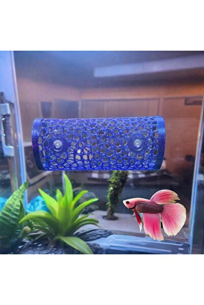 MDİZMİR Beta Dinlenme Alanı ( Mavi - Yeşil ) Balık Yuvası Beta Halfmoon Üreti...