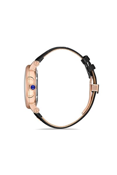 Hislon Men's Watch S.Sd104R-16Br