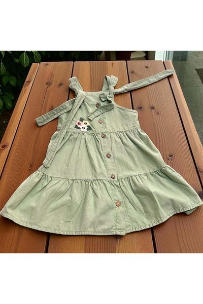 Babexi Embroidered Colorful Dress Green