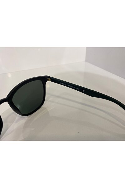 Swing Swing Ss242 Sunglasses