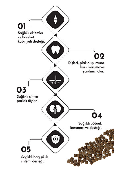 Pro Performance Puppy Small Breed Kuzulu Yaban Mersini Yavru Köpek Maması 12 Kg