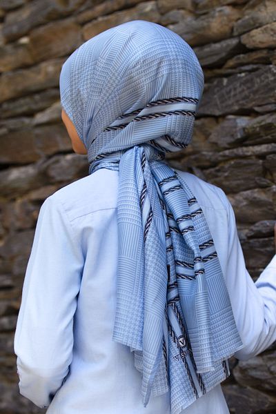 Vissona Women's Fresh Silk Shawl Baby Blue Black