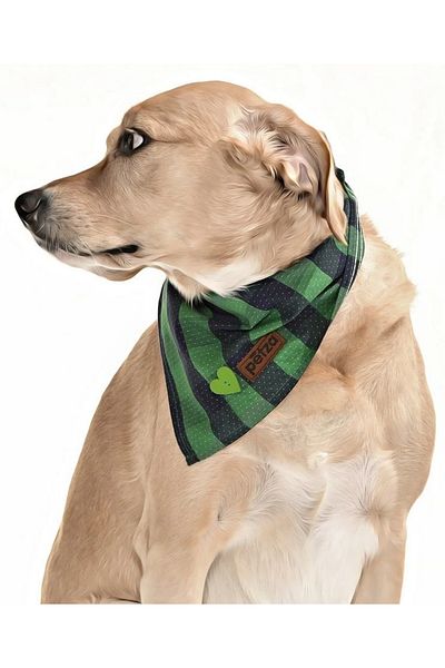 Petza Dog Bandana / Air Conditioner