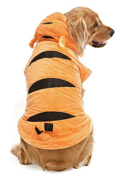 Petza Medium and Large Breed Dog Fleece Sweat - Kotka
