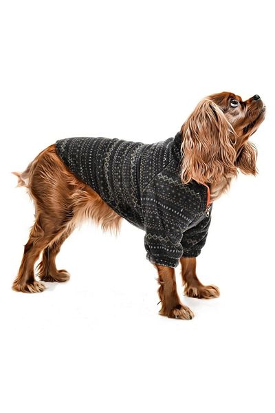Petza Small and Medium Breed Dog Fleece Sweat - Leela
