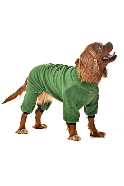 Petza Small and Medium Breed Dog Pajamas Fleece Jumpsuit - Zendaya - Dog Outfit