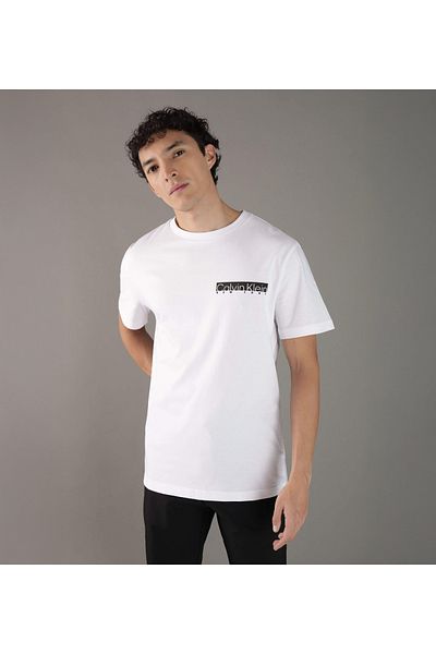 Calvin Klein Cotton Regular Fit Crew Neck Logo t Shirt K10K 113800 Yaf Men's t Shirt K10K 113800