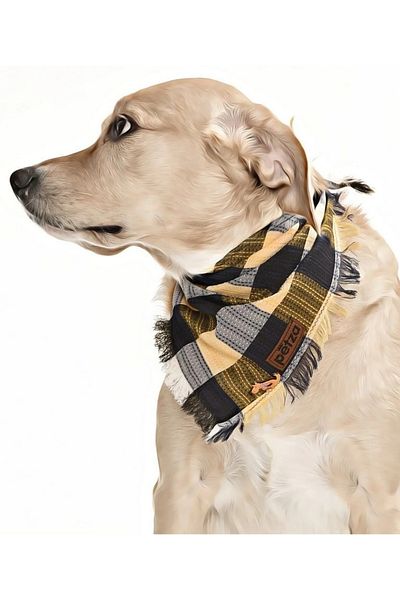 Petza Dog Bandana / Ribe