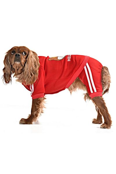 Petza Small and Medium Breed Dog Pajamas Jumpsuit - Goba - Dog Outfit