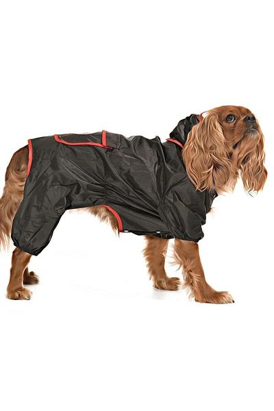 Petza Small and Medium Breed Dog Leg Raincoat - Puka Black