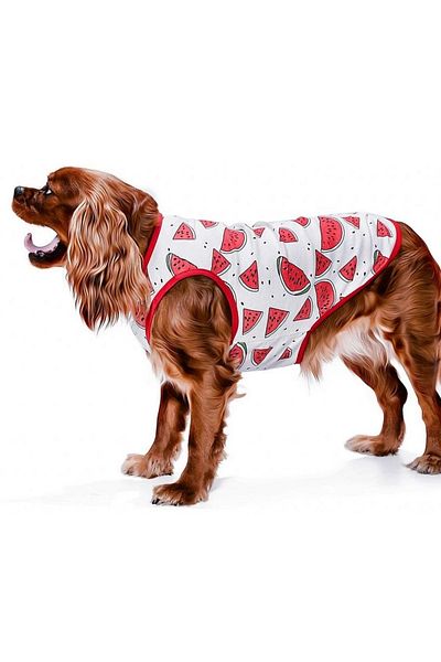 Petza Small And Medium Breed Dog T-shirt Ovia