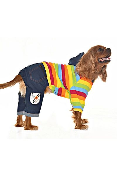 Petza Dog Jumpsuit - Rowan - Dog Outfit