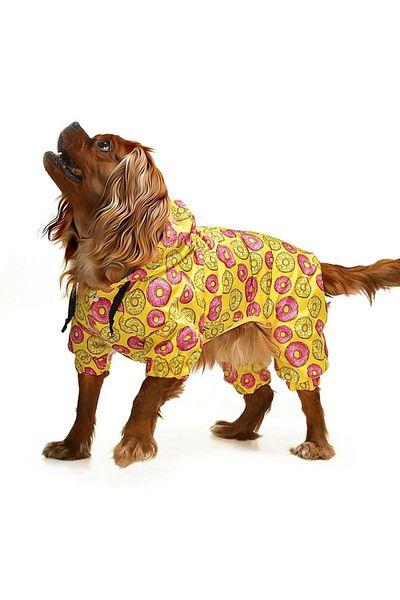 Petza Small and Medium Breed Dog Leg Coat Bicorn