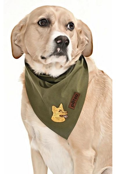 Petza Dog Bandana / Gurre