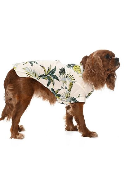Petza Small and Medium Breed Dog Shirt Maija - Dog Clothes