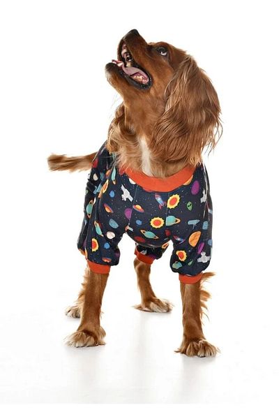 Petza Small and Medium Breed Dog Pajamas Jumpsuit - Vanya - Dog Outfit