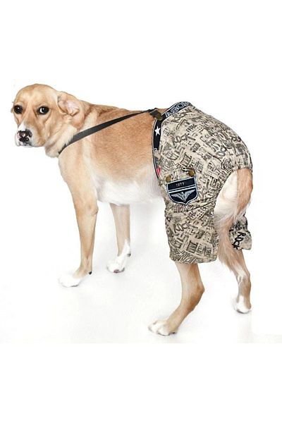 Petza Dog Small and Medium Breed Salopet Lino