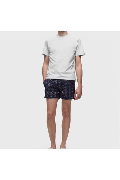 VILEBREQUIN Af139n-390 Model Men's Swimsuit