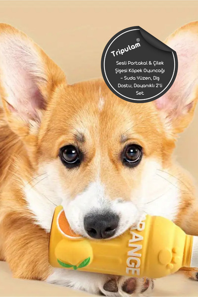 TRİPULAM Sesli Portakal & Çilek Şişesi Öten Köpek Oyuncağı – Diş Dostu, Dayanıklı 2’li Set