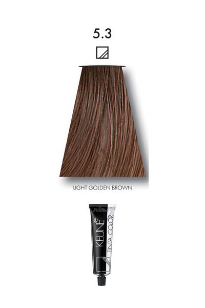Keune 2 packs of Keune Tinta Color Hair Dye No. 5.3 Light Golden Brown with Silk Protein Treatment