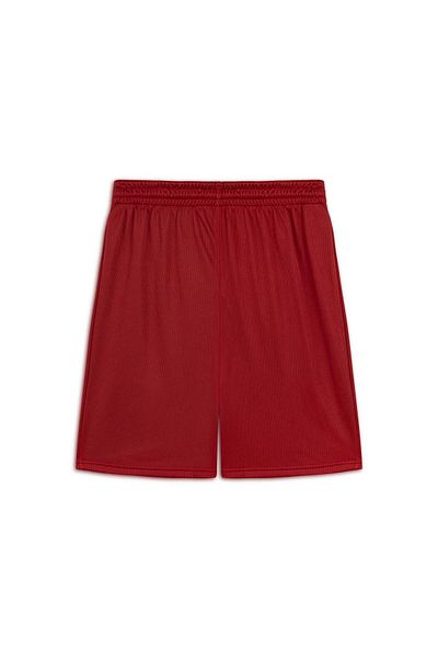 Puma Galatasaray Training Shorts