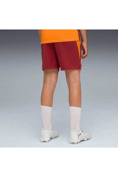 Puma Galatasaray Youth Training Shorts