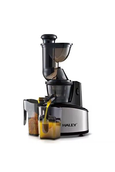 HALEY 250W Electric Fruit and Vegetable Juicer – Low Noise, High Efficiency, 500ml, Modern