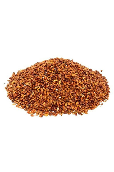 Aktarzane Süpürge Otu Tohumu 100 gr