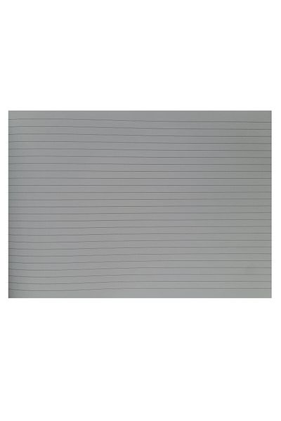 FLR Set 4 caiete GEOGRAFIE, A4 (mare), coperta plastic, 24 file + 5 cartonase pentru notite