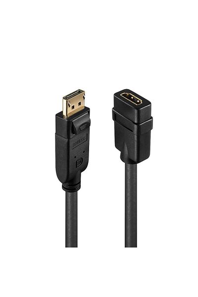 Inna marka Lindy konwerter DisplayPort na HDMI pasywny, 41005