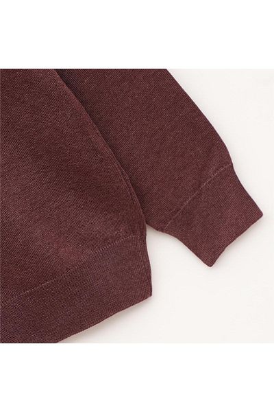 Dio Rise Men's Unsharded Long Sleeve Slim Throat Collar Sweater - 180538 - Purple Melange