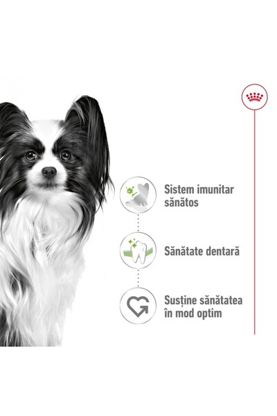 Royal Canin Royal Canin X-Small Adult dry food for very small dogs 3 kg