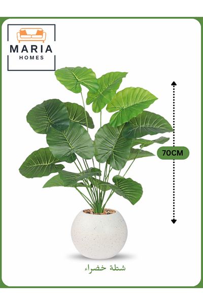 MARIA HOMES Artificial Green Leaf Plant 70 cm – Decorative Indoor Shrub with White with yellow dots Pot