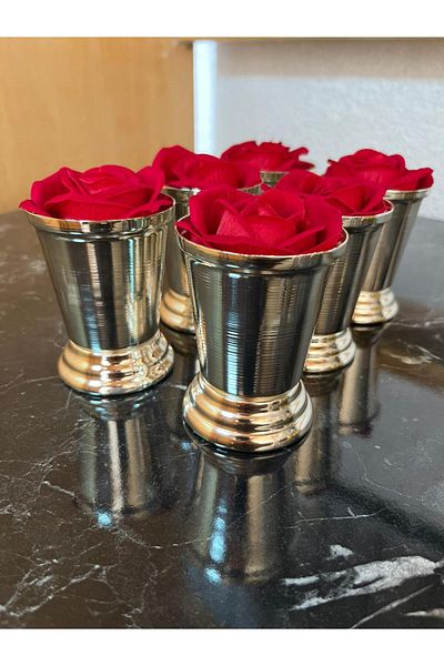 Elk Home Silver Coated 6 Piece Rose Bucket Including Red Velvet Roses