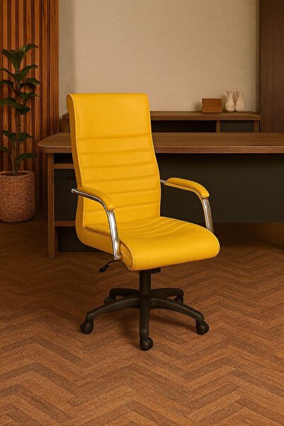 sadık ofis Staryo Sarı Bilgisayar Koltuğu – Ergonomik Bel Destekli, Ayarlanab...